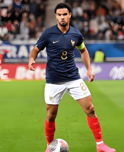 扎伊爾 - 埃梅里：困境中尋突破，目標(biāo)重返一線逐夢(mèng)世界杯