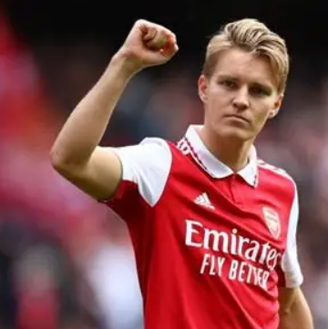 厄德高：傷病難阻夢想，見證挪威重返世界杯